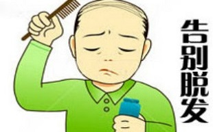 除了脂溢性遗传性脱发外,脱发与熬夜、喝酒有很大关系 除了脂溢性遗传性脱发外,脱发与熬夜、喝酒有很大关系