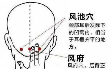 不同的脱发部位可以通过按摩不同的穴位来改善