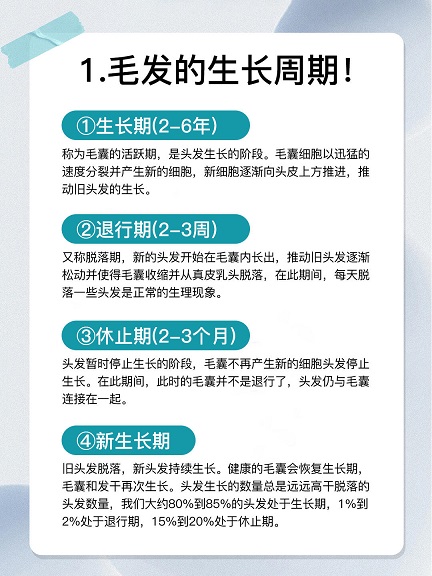 头发的生长是一个受多因素调控的复杂生理过程
