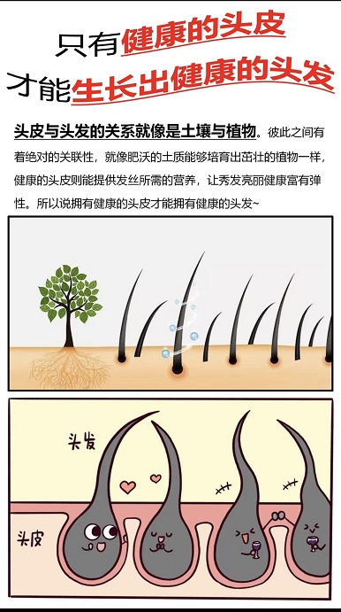 如何帮助你快速判断自身头发状态？